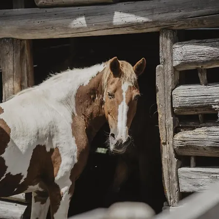 Kornkammer 別荘 ゼル