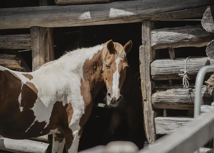 Kornkammer Prázdninový dům Söll