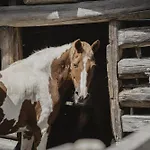 Kornkammer Casa de Férias Söll